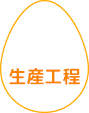 生産工程